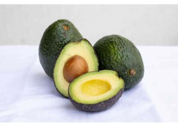 Avocado - Arka Supreme