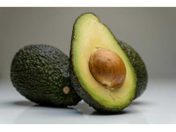 Avocado - Kendil
