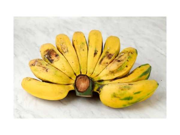 Banana - Yelakki