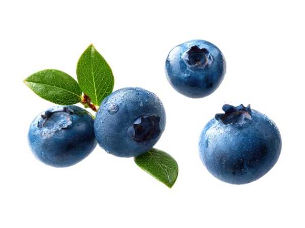 Berry - Blueberry