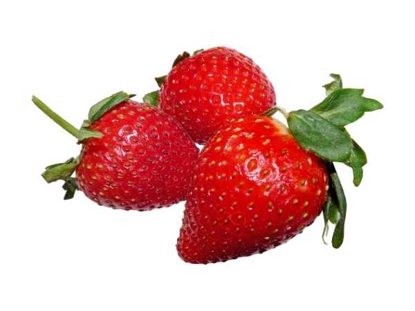 Berry - Strawberry