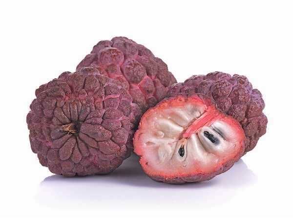 Custard Apple - Purple / Red