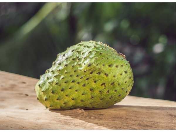 Custard Apple - Soursop / Mullu Seetha
