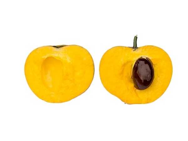 Egg Fruit