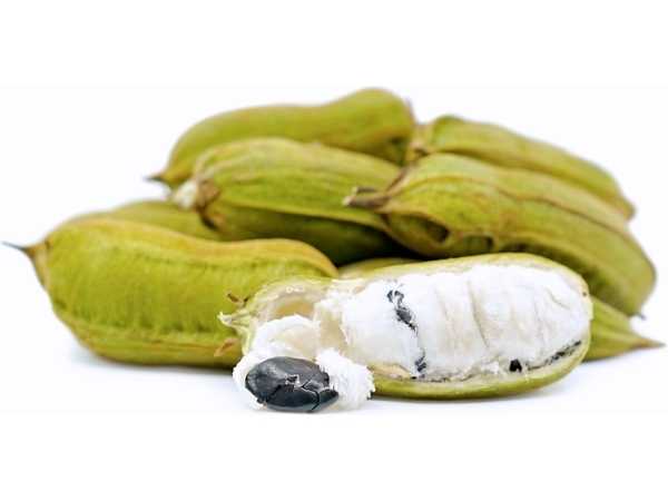 Ice Cream Bean