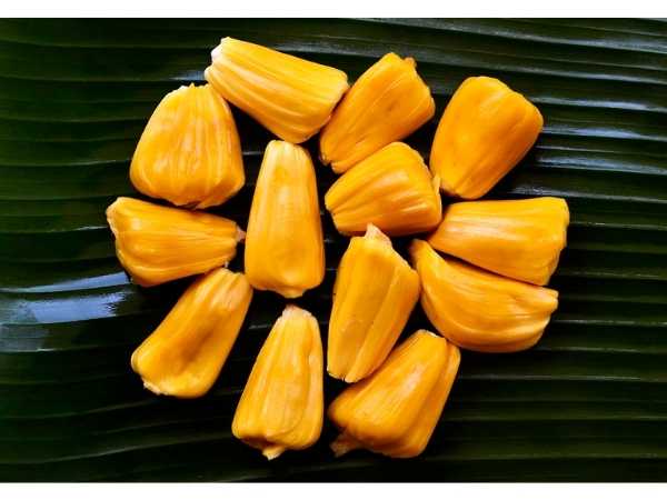 Jackfruit - Honey Red