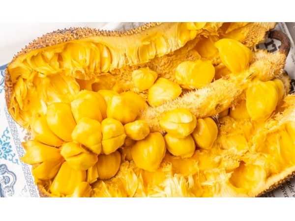 Jackfruit - Nongadak