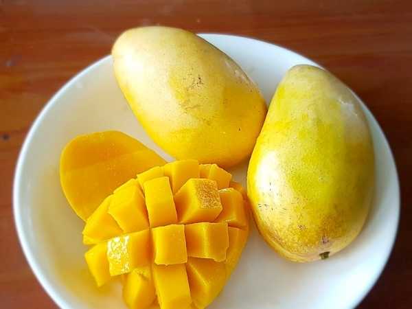 Mango - All Season