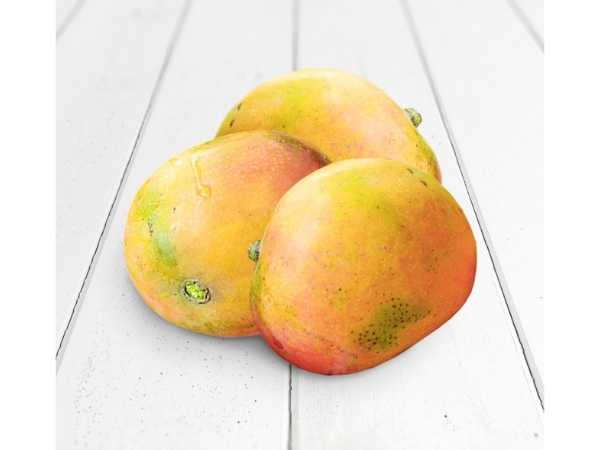 Mango - Kalapadi