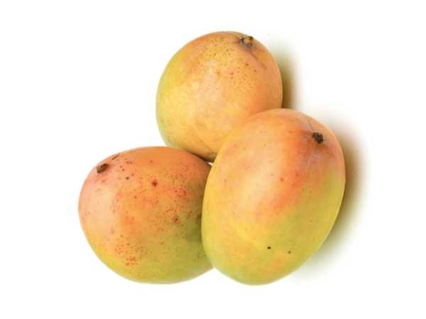 Mango - Neelam