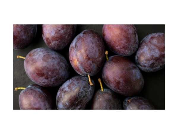 Plum - Coco