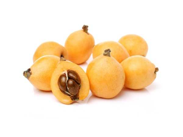 Plum - Loquat / Lokat