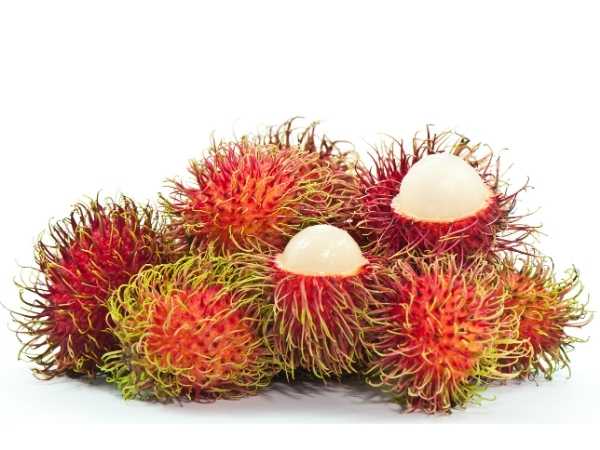 Rambutan - Rongrien