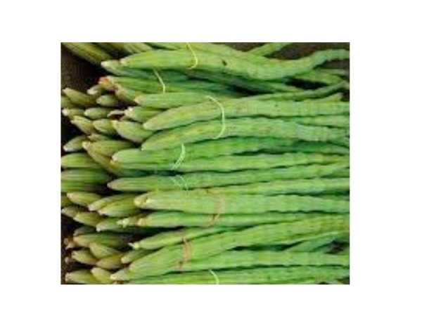 Murungai - Karumbu / Drumstick Tree