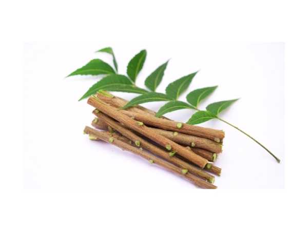 Neem Tree